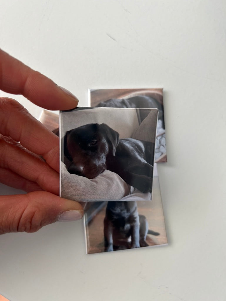 Custom Photo Magnets | Set of 4