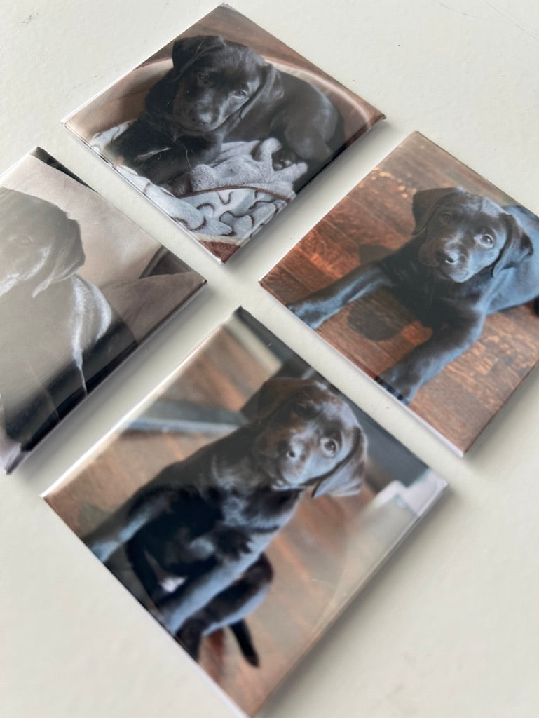Custom Photo Magnets | Set of 4