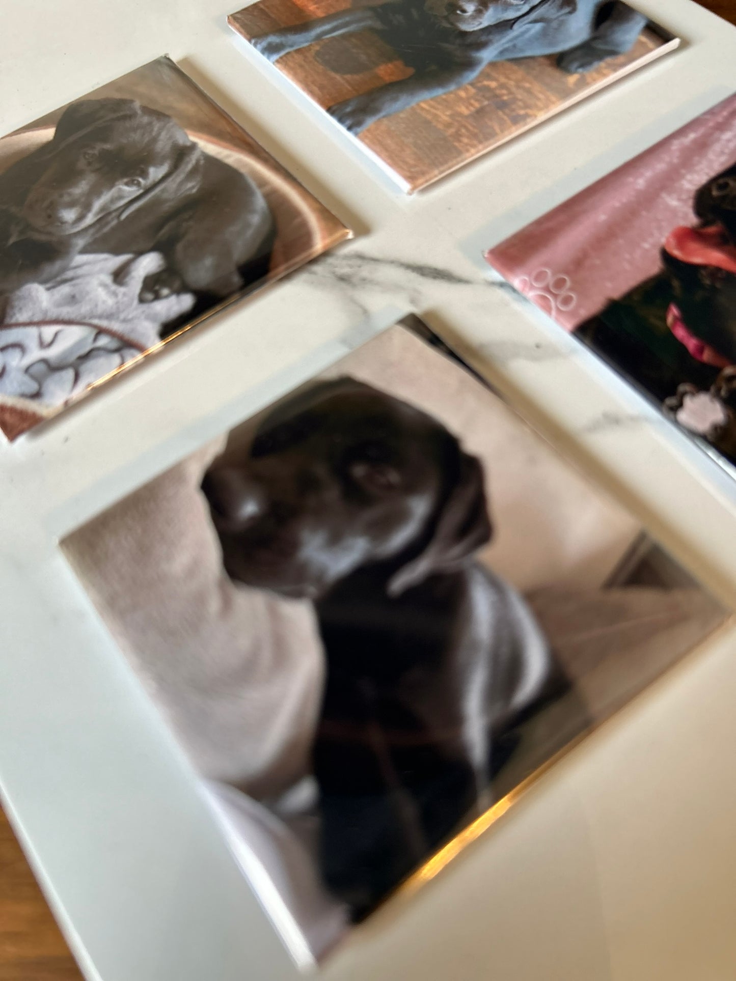 Custom Photo Magnets | Set of 4
