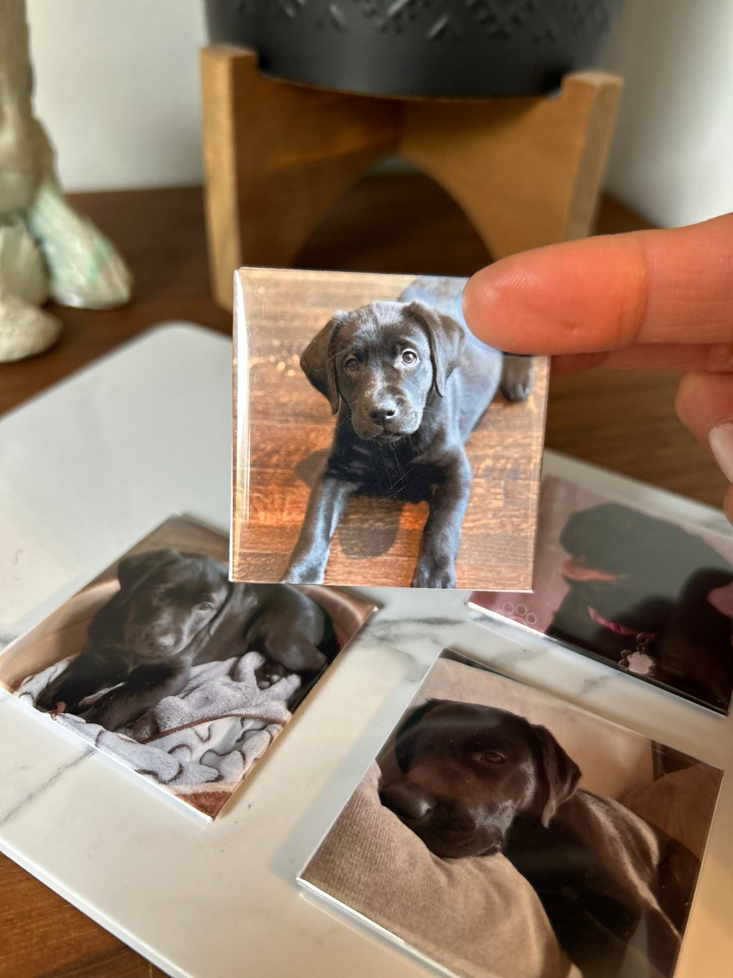 Custom Photo Magnets 2 x 2"| Set of 6